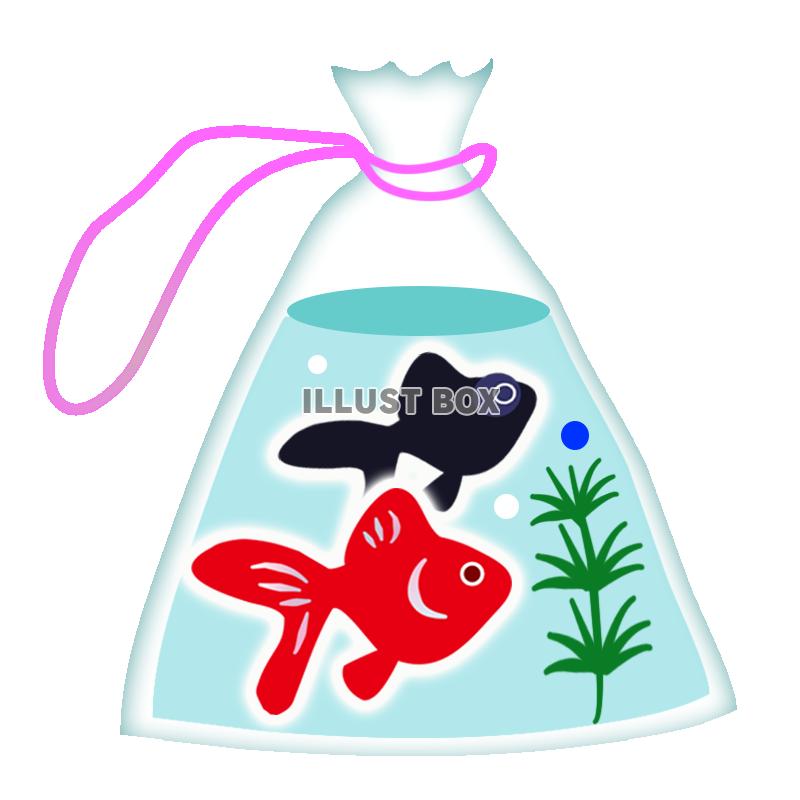 無料イラスト 金魚すくいの金魚 透過ｐｎｇ