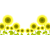ひまわり畑1　【透過PNG】