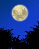 夜空のイラスト