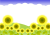 ひまわり畑３　【透過PNG】