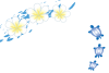 プリメリアのハワイの白い花とアオウミガメ透過