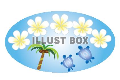 無料イラスト ハワイのプリメリアの白い花とヤシの木とウミガメpng