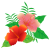 ハイビスカスイラスト1【透過PNG】