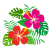 ハイビスカスイラスト2【透過PNG】