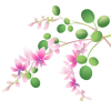 無料イラスト 萩の花のカット 透過png