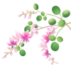 無料イラスト 萩の花