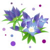 りんどうの花イラスト2【透過PNG】