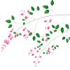 無料イラスト 秋の花 萩の花のpng素材