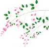 萩の花【透過PNG】