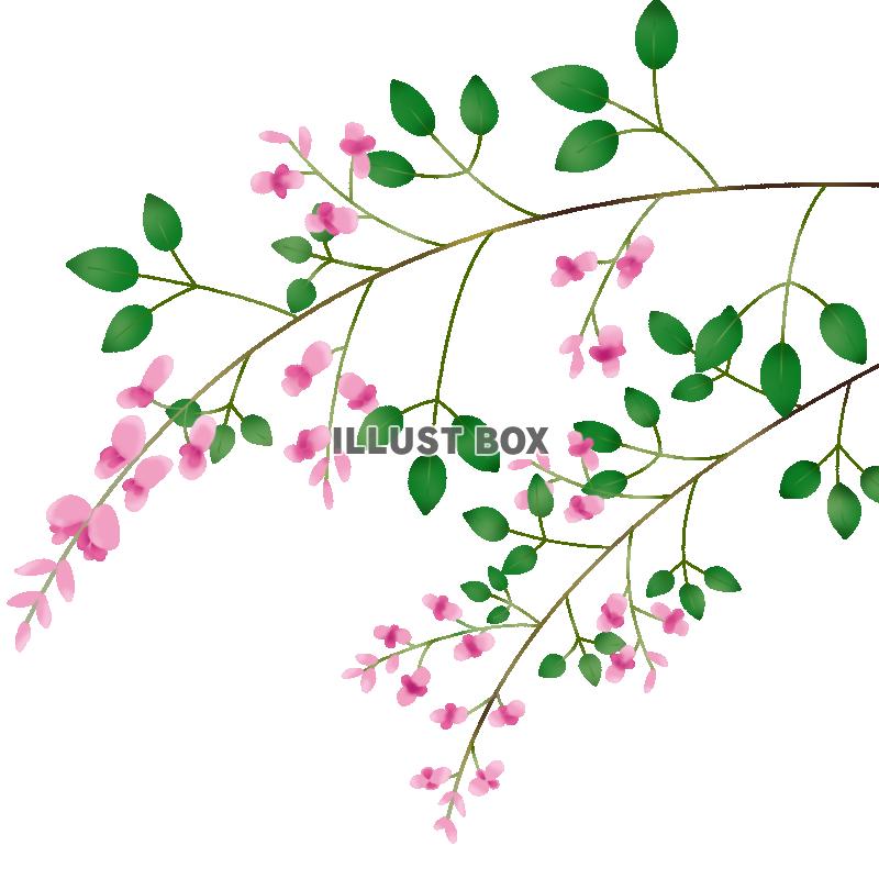 萩の花【透過PNG】