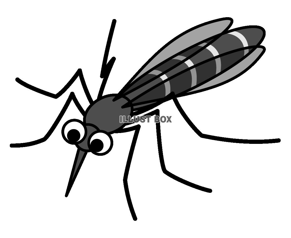 蚊のイラスト　(透過PNG)