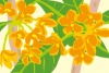 金木犀の花の秋のイラスト