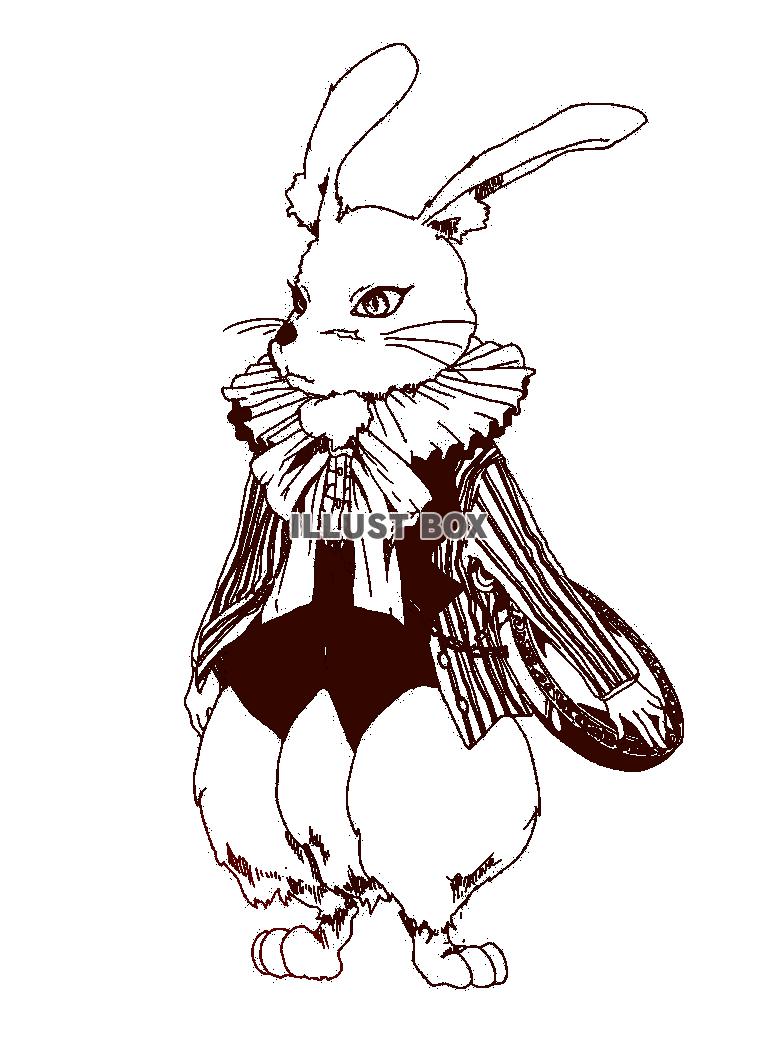 白ウサギ【PNG透過】