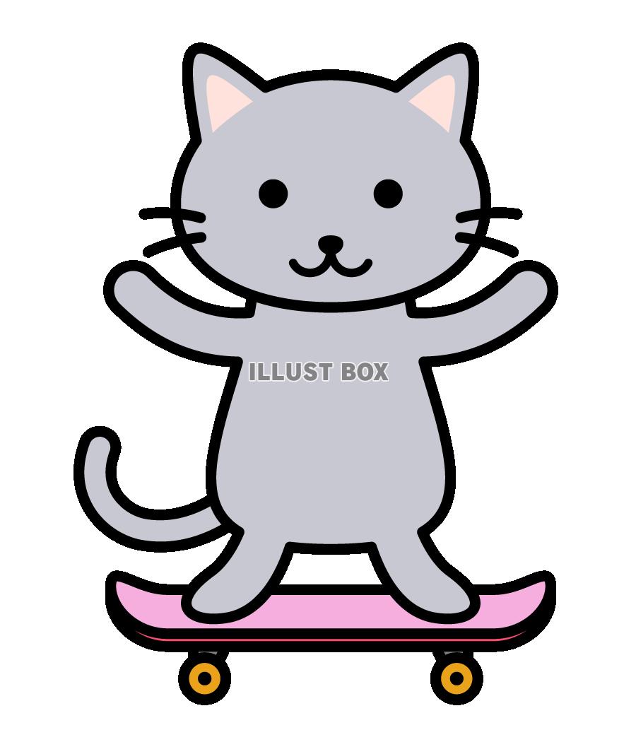 スケートボードをするネコ　(透過PNG)