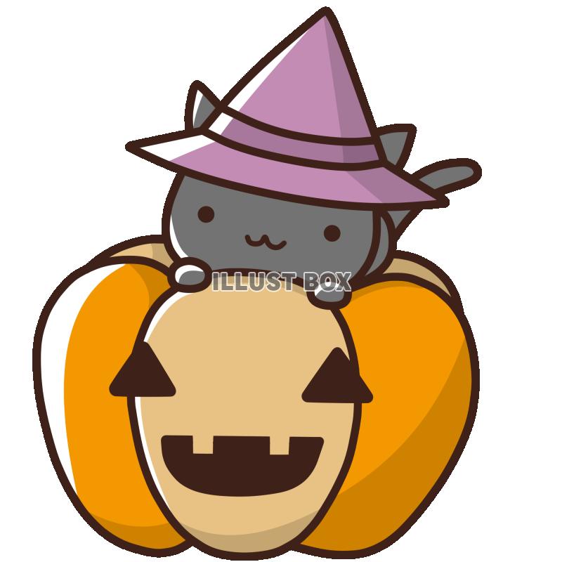 無料イラスト ハロウィン素材 かぼちゃと魔女猫 透過png