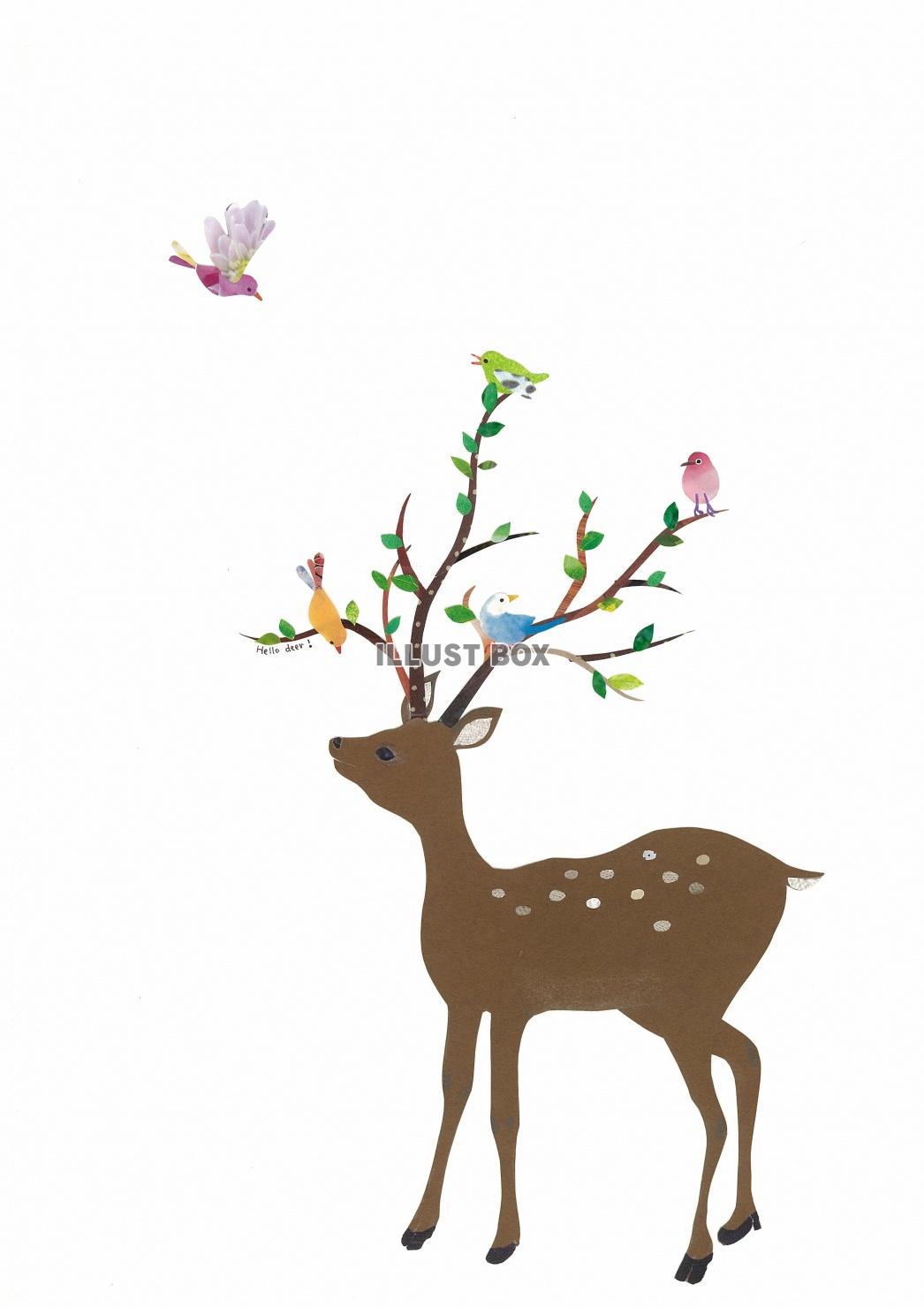 無料イラスト 鹿と小鳥たち