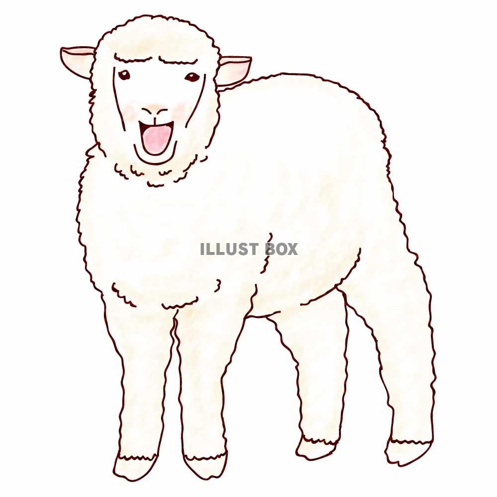 【グリーティング】羊　未年　03