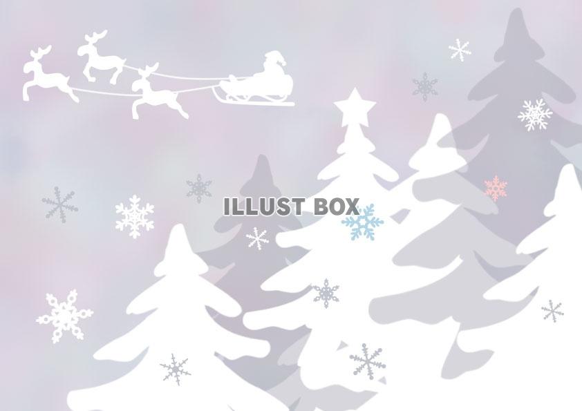 クリスマスツリーの森