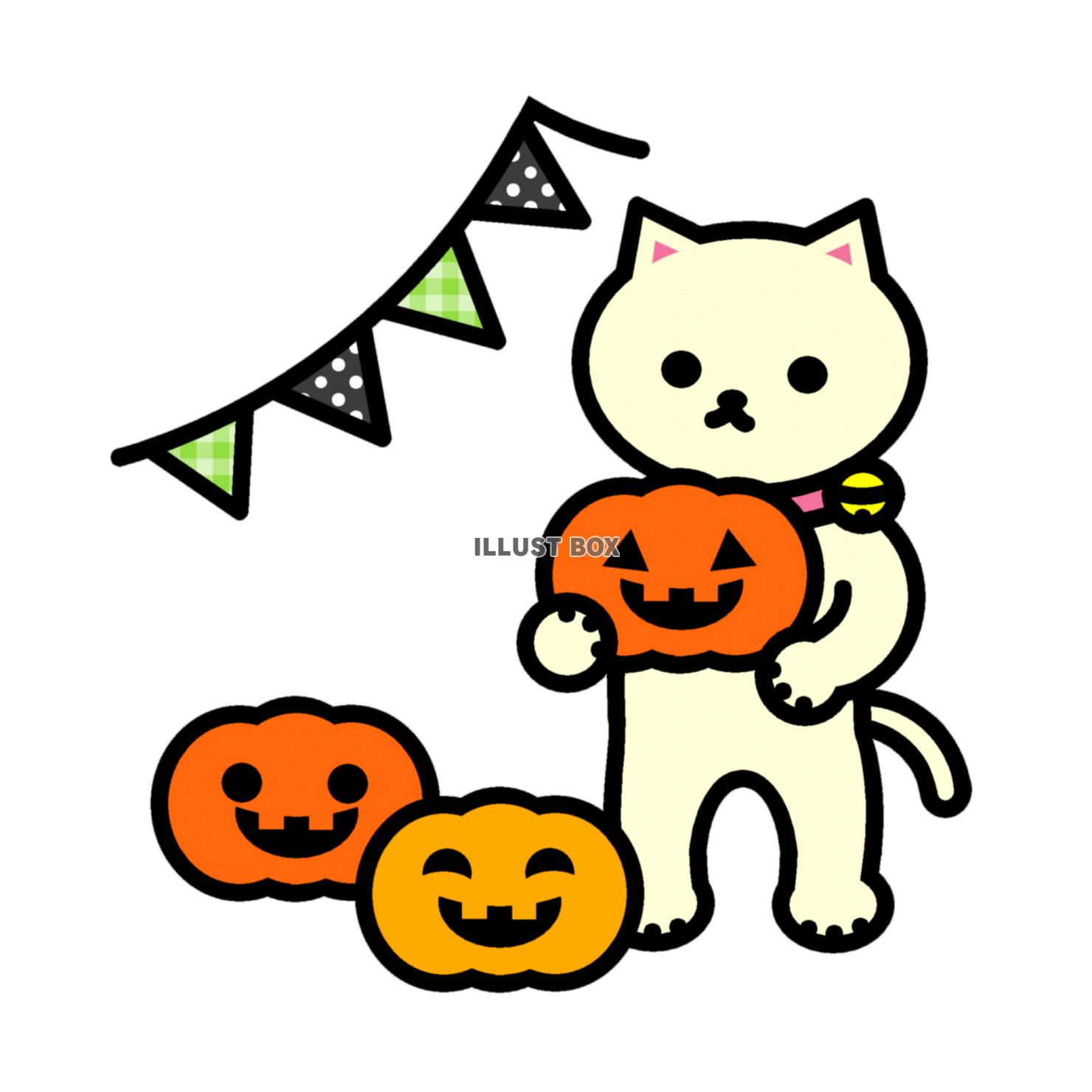 しろねこハロウィン　飾り付け