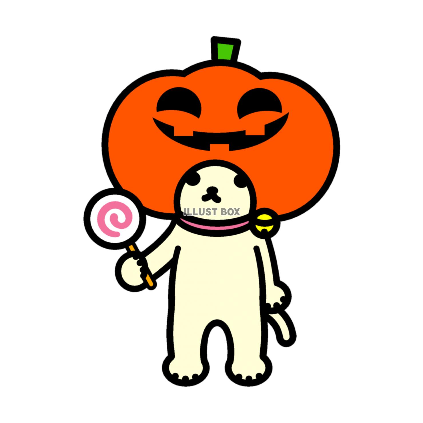 無料イラスト しろねこハロウィン かぼちゃのかぶりもの