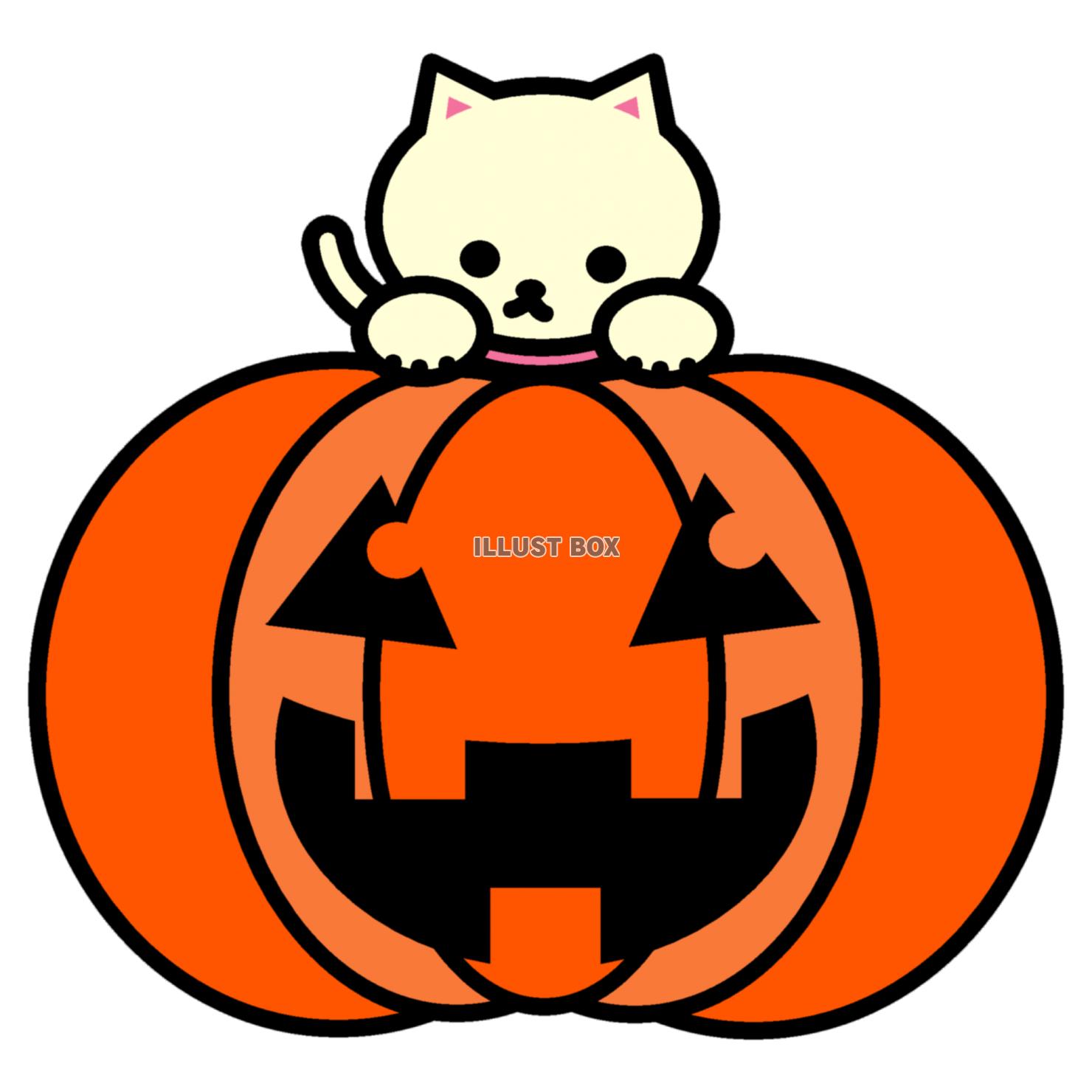 無料イラスト しろねこハロウィン かぼちゃといっしょ