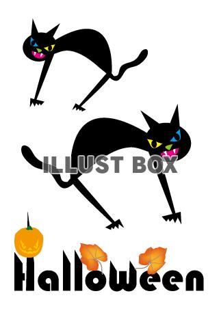 Halloweenの文字と黒猫のPNG