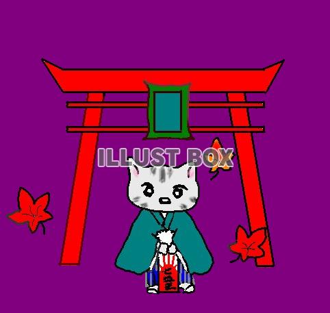 七五三
