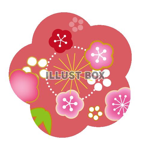 無料イラスト 年賀状 梅の花イラスト 透過png