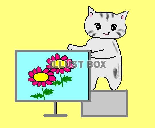 ハイビジョンPRで、ねこまる奮闘【透過】PNG