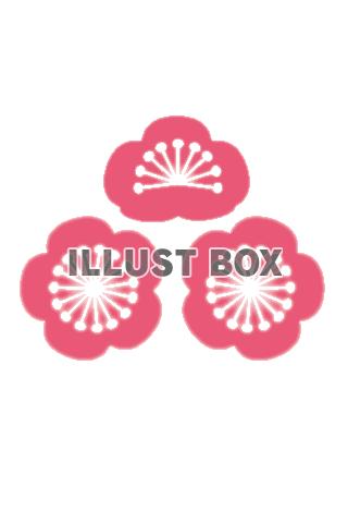 可愛いピンクの梅の花のPNG素材