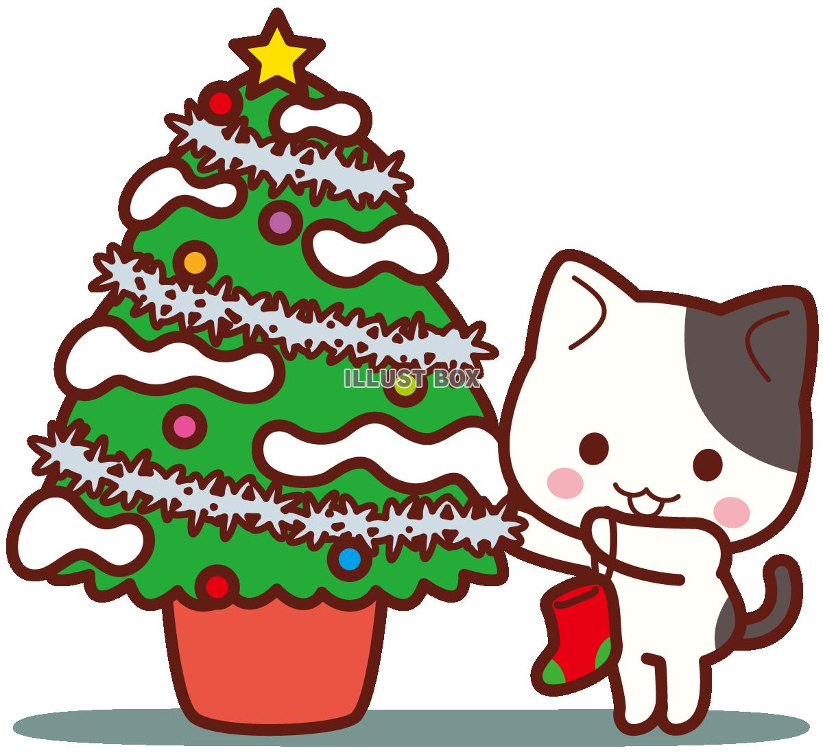 にゃんこのわくわくクリスマス