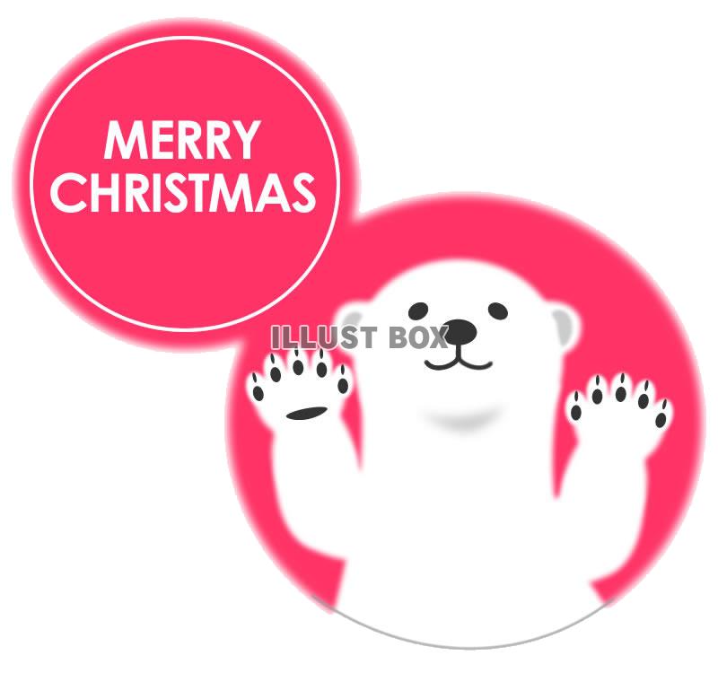 【透過png】シロクマクリスマスイラスト8