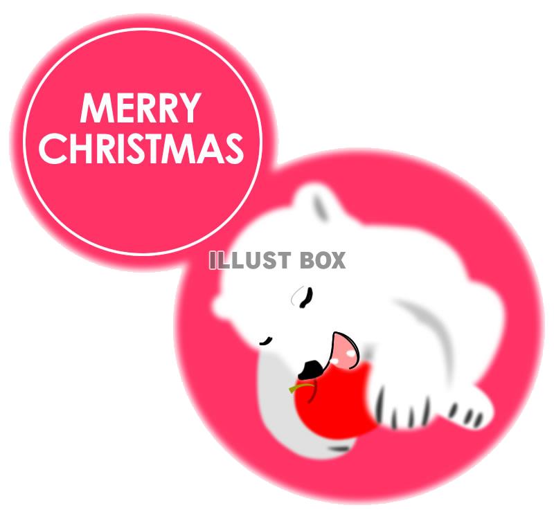 【透過png】シロクマクリスマスイラスト6