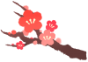 梅の花（透過PNG）