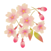 桜こんもり　透過PNG