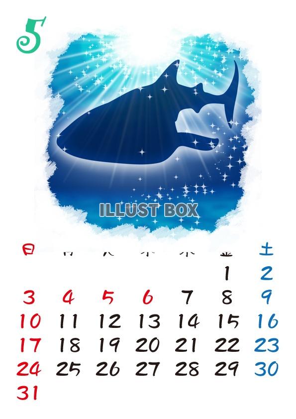 【2015カレンダー】海の中　5月