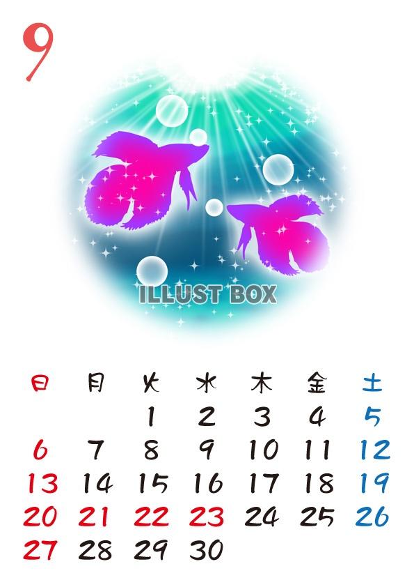 【2015カレンダー】海の中　9月