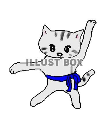 ねこまる・・ダンスの決めポーズ【透過】PNG