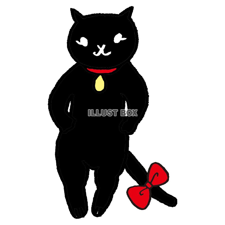ネコ／黒猫リボン