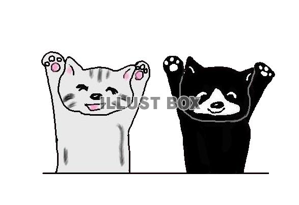 ねこまる＆くろ・・万歳三唱【透過】PNG