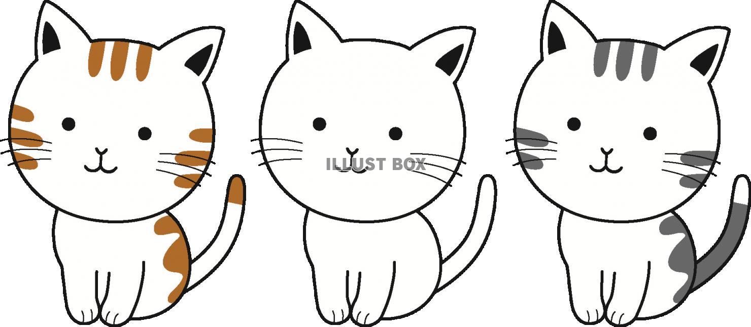 無料イラスト ３匹の子ねこ 透過png