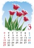 【2015カレンダー】四季の花カレンダー　3月