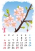 【2015カレンダー】四季の花カレンダー　4月