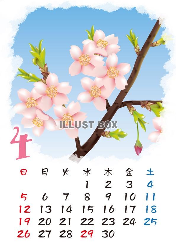 【2015カレンダー】四季の花カレンダー　4月