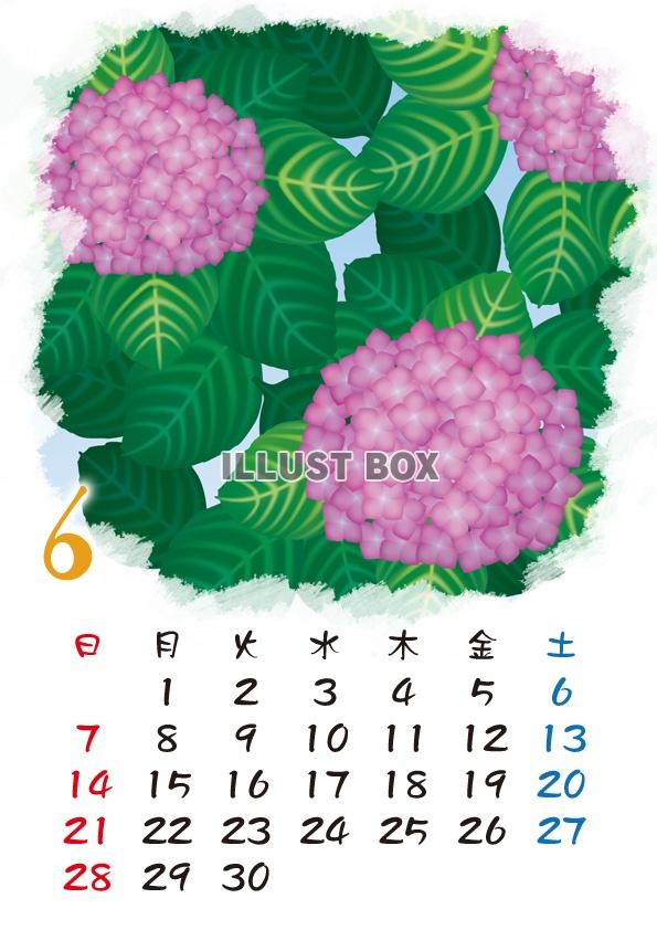 無料イラスト 15カレンダー 四季の花カレンダー 6月