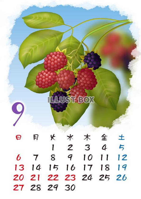 無料イラスト 15カレンダー 四季の花カレンダー 9月