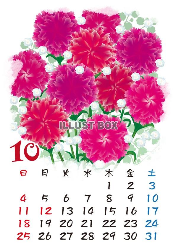 【2015カレンダー】四季の花カレンダー　10月