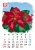 【2015カレンダー】四季の花カレンダー　12月