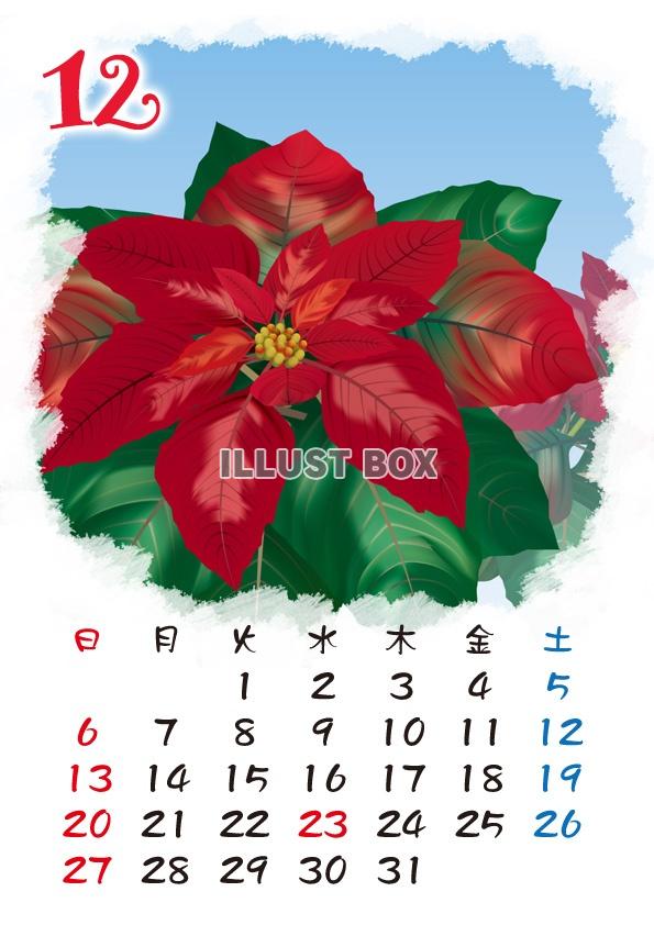 【2015カレンダー】四季の花カレンダー　12月