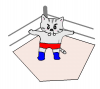 ねこまるがプロレスをやる【透過】PNG